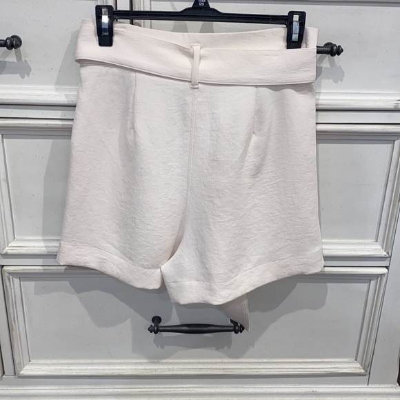 Aritzia Belted High Waited Shorts - Picture 3 of 5